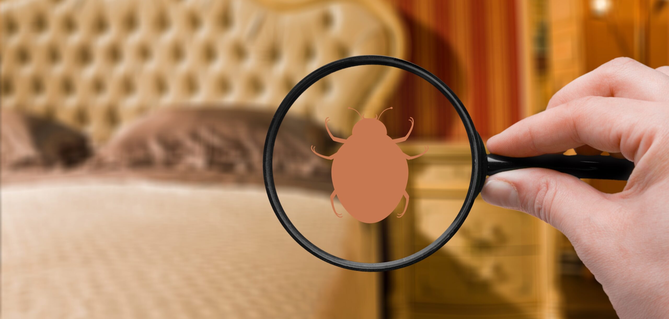 Tips for Detecting Pests in Homes and Businesses